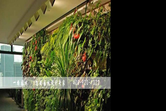 植物墙、生态墙、垂直绿化墙是什么概念？